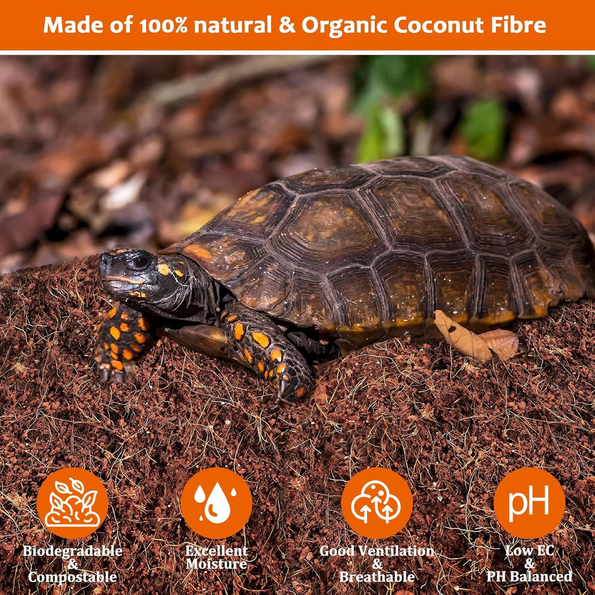 Riare 2 Pack Natural Coconut Fiber Substrate for Reptile- Premium Compressed Coconut Husk Terrarium