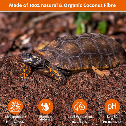 Riare 2 Pack Natural Coconut Fiber Substrate for Reptile- Premium Compressed Coconut Husk Terrarium