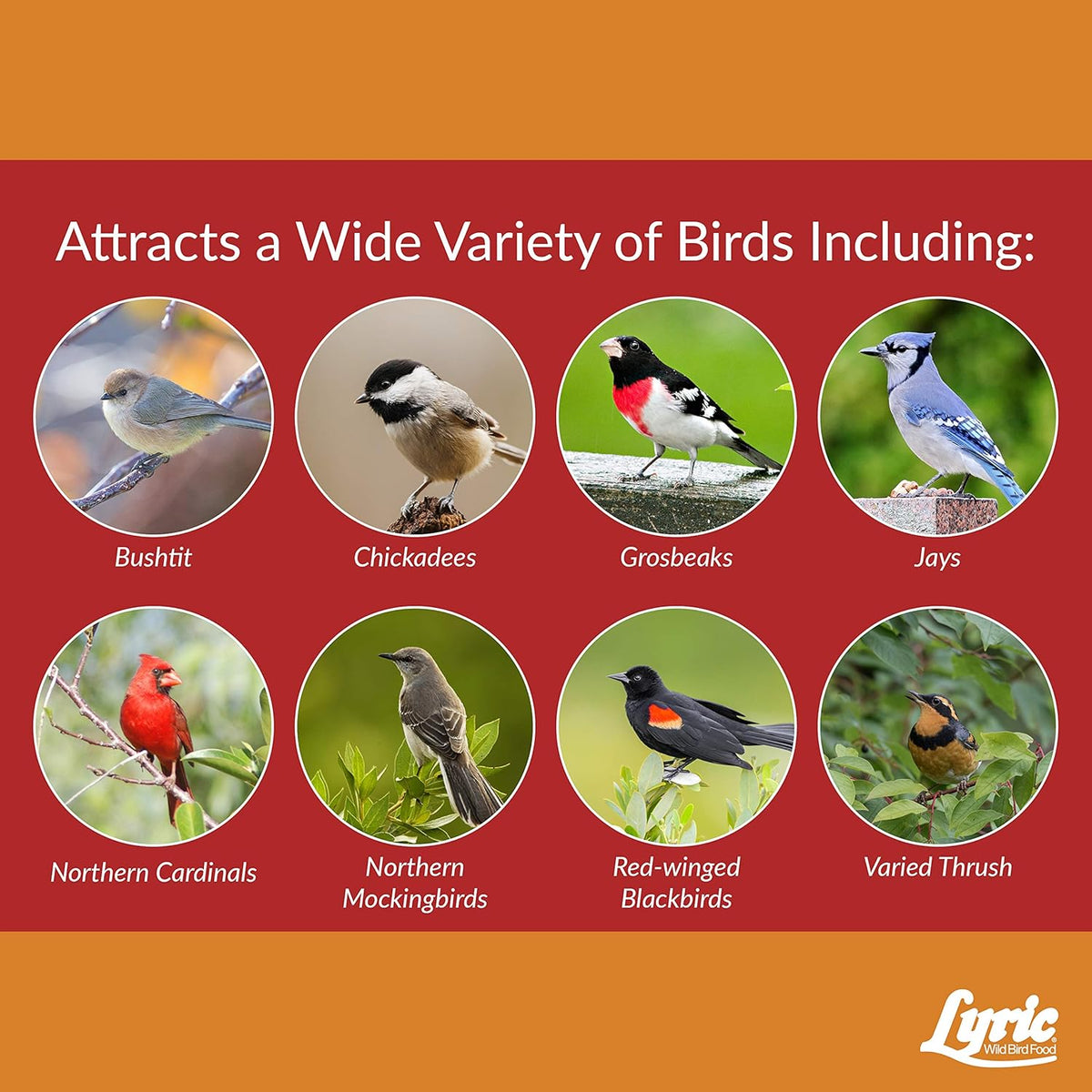 Lyric Cardinal Wild Bird Seed - Sunflower & Safflower Premium Bird Food Mix for Cardinals