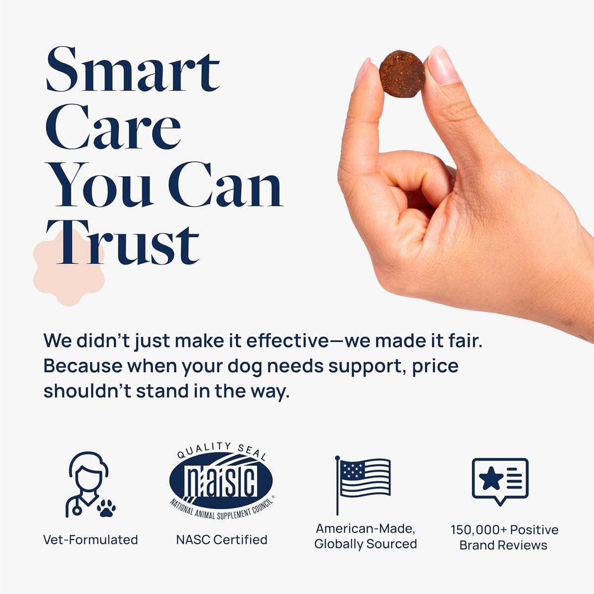Veterinary Formula Smart Vitality Senior Support Dog Supplements 60ct – Senior Dog Vitamins to Help