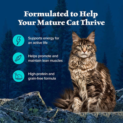Blue Buffalo Wilderness Wild Delights Minced Wet Cat Food, High-Protein & Grain-Free, Made with