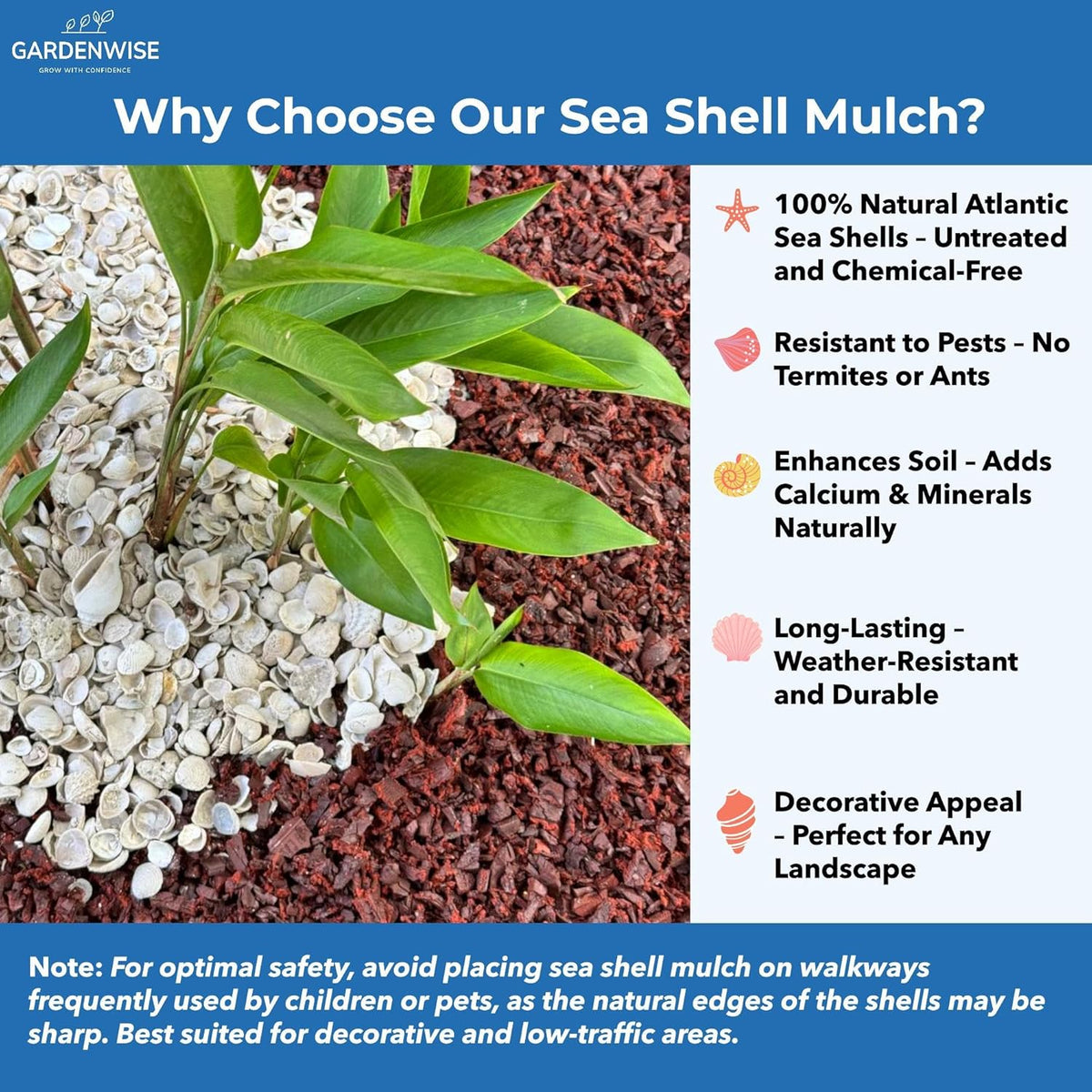 Natural Organic Sea Shell Mulch for Gardens and Landscaping – Decorative and Nutrient-Rich