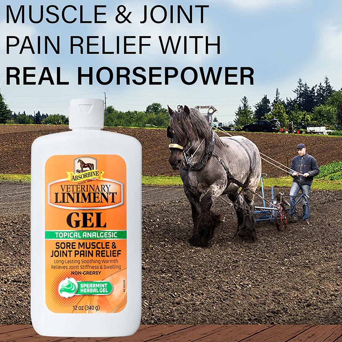 Absorbine Veterinary Liniment Topical Analgesic Sore Muscle and Arthritis Pain Relief Warming