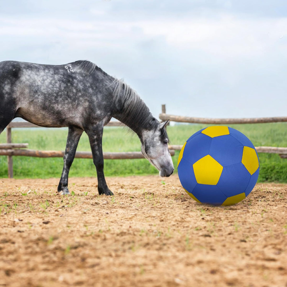Herding Ball for Dogs Horse Ball & Cover 25" for Horses Large with Hand Pump for Play, Blue and