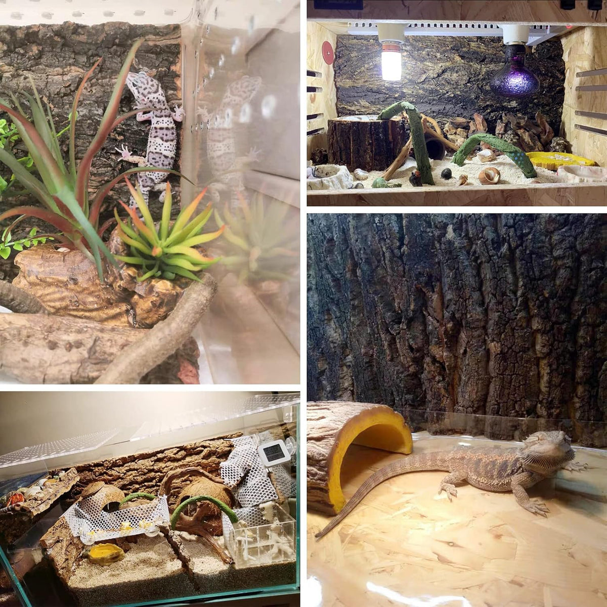 Fhiny 2 PCS Cork Bark Background, 11.6" x 7.7" Natural Cork Bark for Reptiles Tank Backdrop Reptile