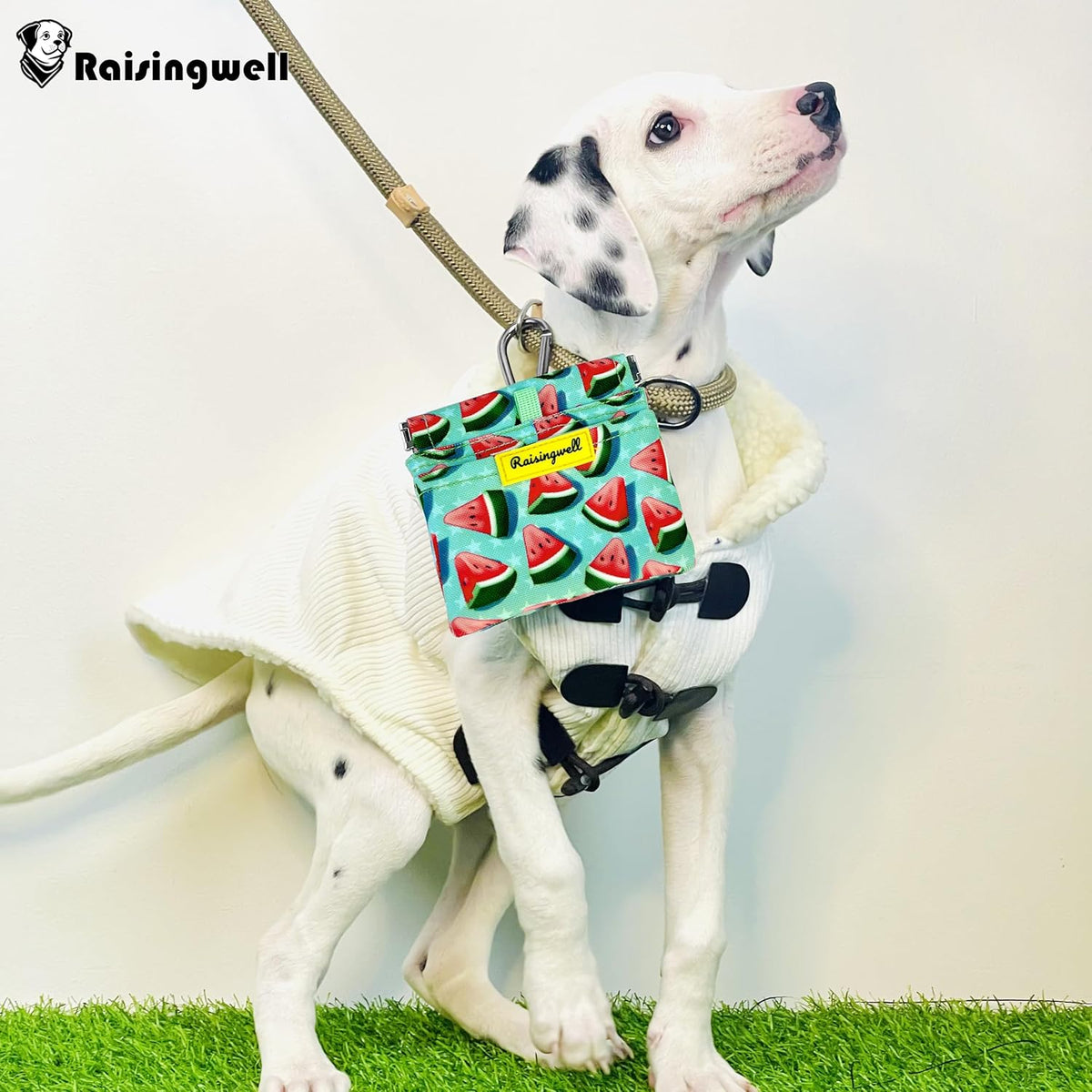 Dog Treat Pouch,Cotton Pocket Sized Training Holder, Hand Free Walking Funny Bag with Carabiner