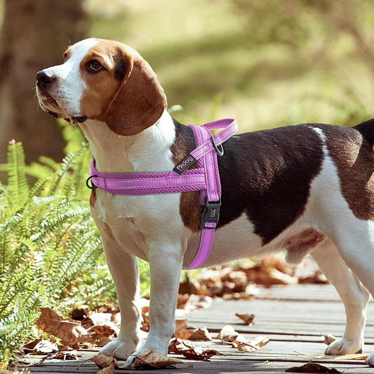 Didog No Pull Dog Harness with Soft Mesh Padded,Reflective & Quick Fit Light Weight Dog Strap Vest