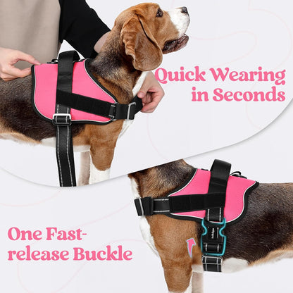 rabbitgoo Dog Harness for Large, Easy On Pet Vest with One Buckle, No Pull Adjustable Service