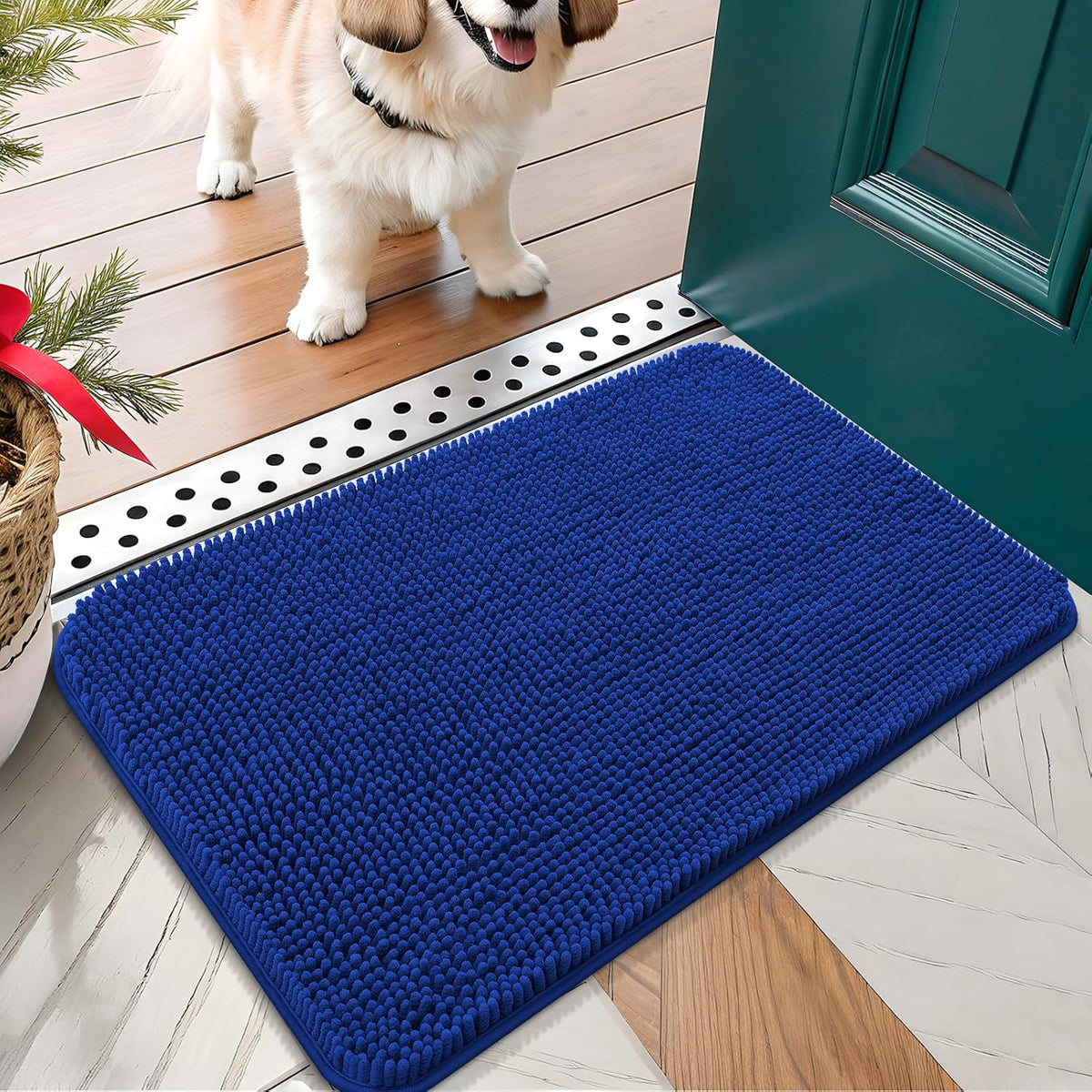 OLANLY Dog Door Mat for Muddy Paws 24x16, Absorbs Moisture and Dirt, Absorbent Non-Slip Washable