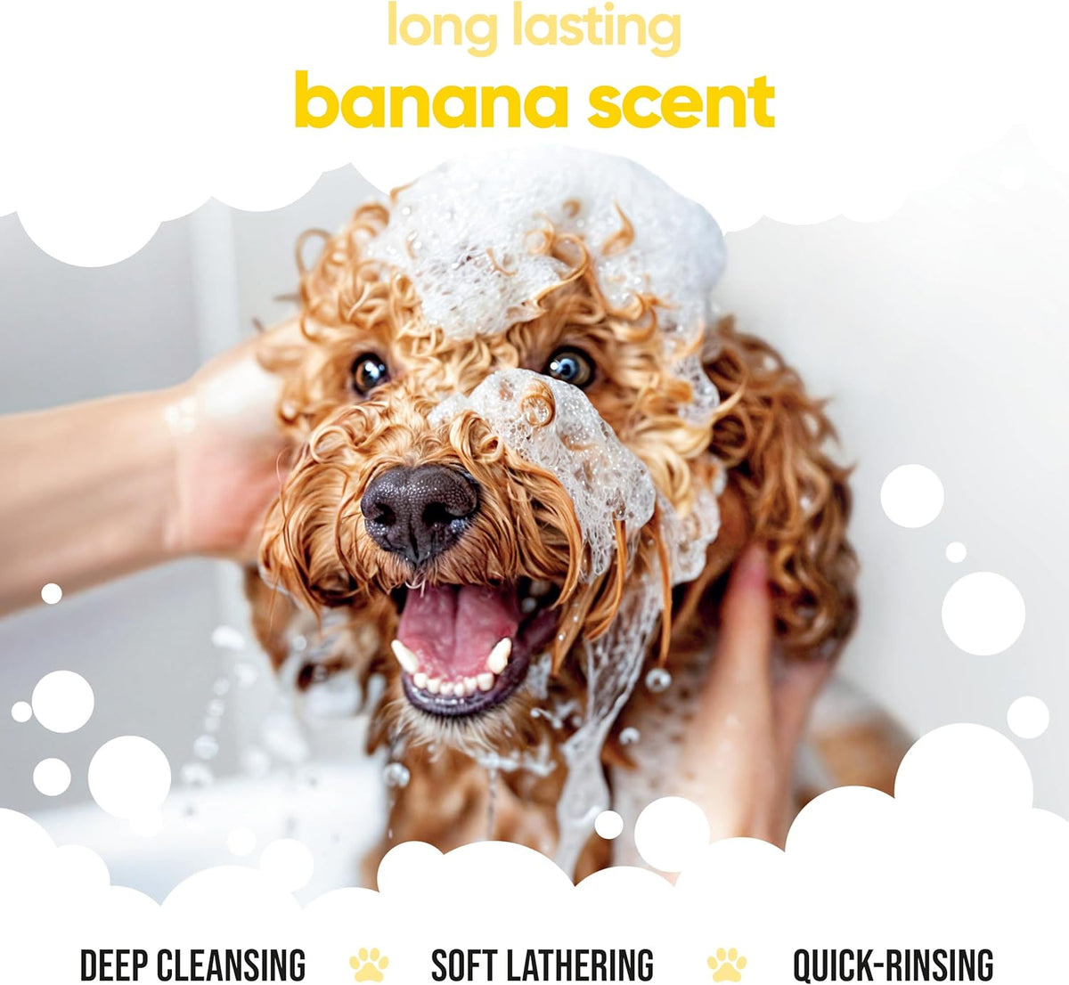 Banana Dog Shampoo by Buddycare | Deep Cleansing Shampoo for Dogs | Banana Scented | with Aloe Vera