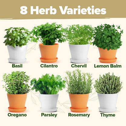 HOME GROWN 𝗣𝗥𝗘𝗠𝗜𝗨𝗠 𝗛𝗘𝗥𝗕 𝗞𝗜𝗧 8 Herb Seeds Garden Kit, Complete Indoor Planter Gift