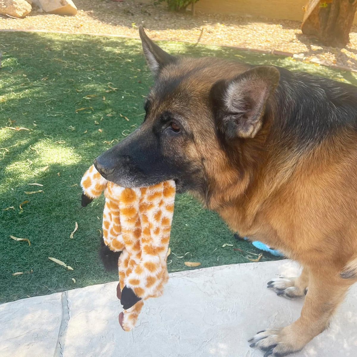 Jalousie 5 Pack Stuffingless Dog Squeaky Toys Dog Toy w/Durable Liner No Stuffing Dog Toy - Dog
