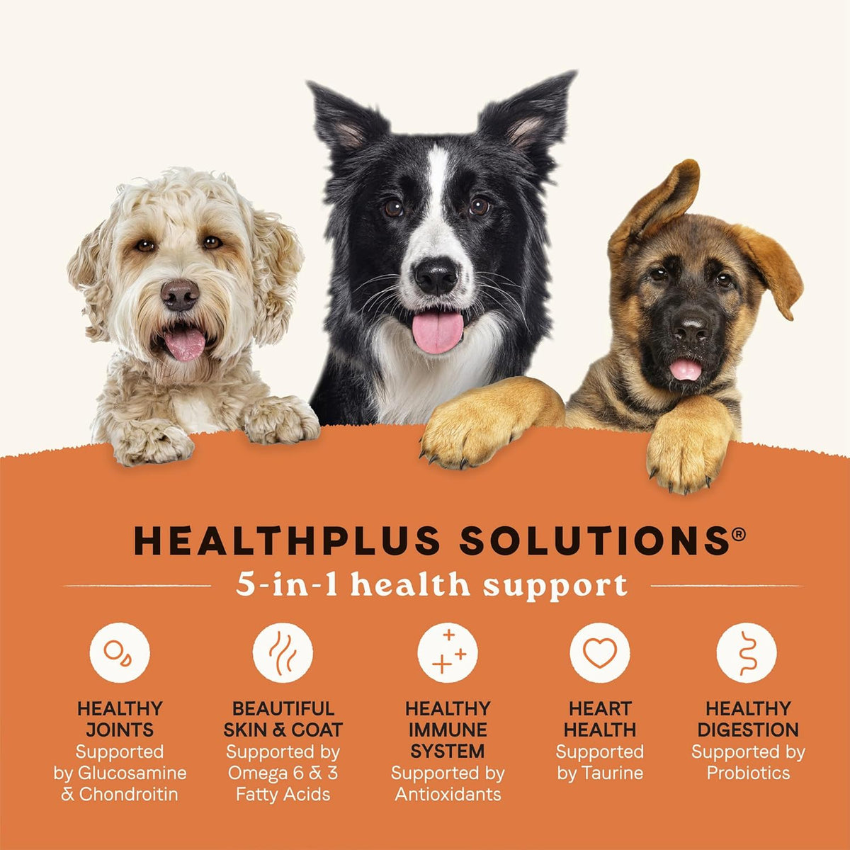 Canidae All Life Stages Real Chicken & Potato Recipe – High Protein and Grain-Free Premium Dry Dog