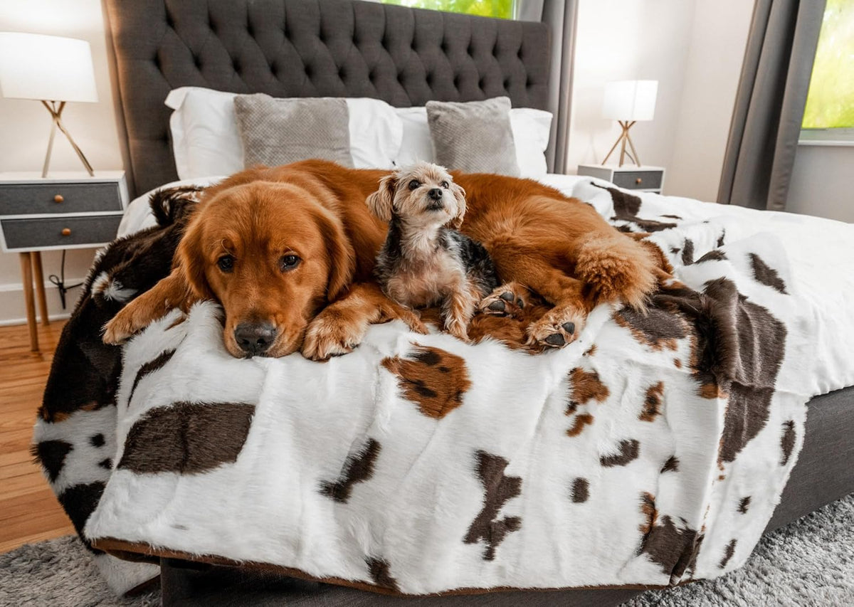 PupProtector Waterproof Throw Blanket for Dogs and Cats, Pet Blanket Cover for Couches, Sofas