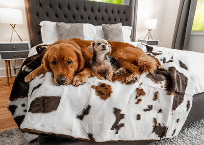 PupProtector Waterproof Throw Blanket for Dogs and Cats, Pet Blanket Cover for Couches, Sofas