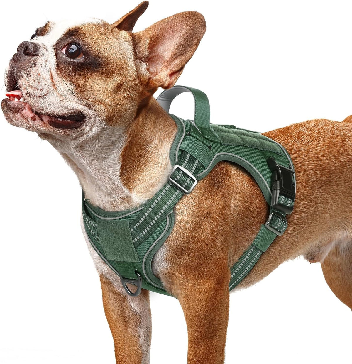 rabbitgoo Dog Harness Small Sized No Pull, Tactical Service Pet Vest with Molle and Control Handle