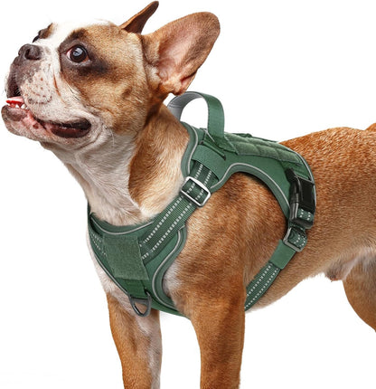 rabbitgoo Dog Harness Small Sized No Pull, Tactical Service Pet Vest with Molle and Control Handle