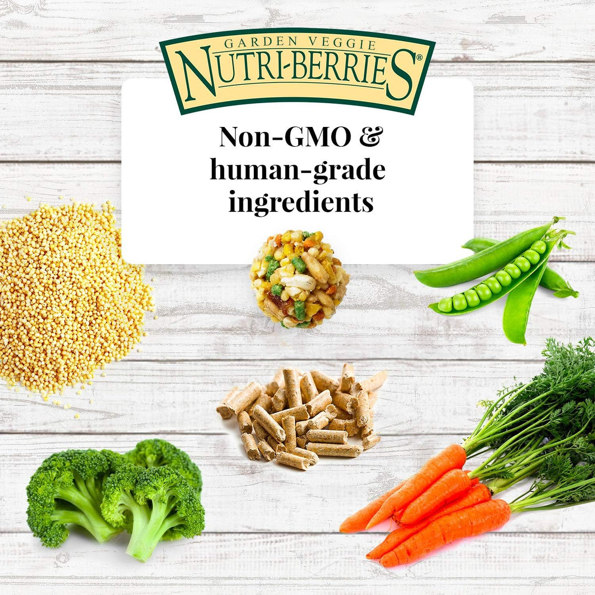 LAFEBER'S Garden Veggie Nutri-Berries Pet Bird Food, Made with Non-GMO and Human-Grade Ingredients