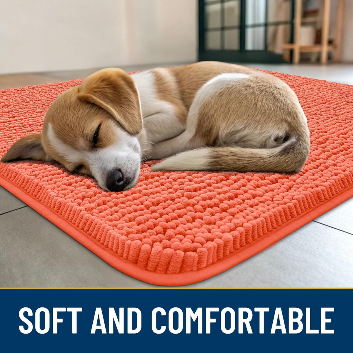 Smiry Dog Door Mat for Muddy Paws 30x20, Absorbs Moisture and Dirt Doormat, Non-Slip Washable Quick