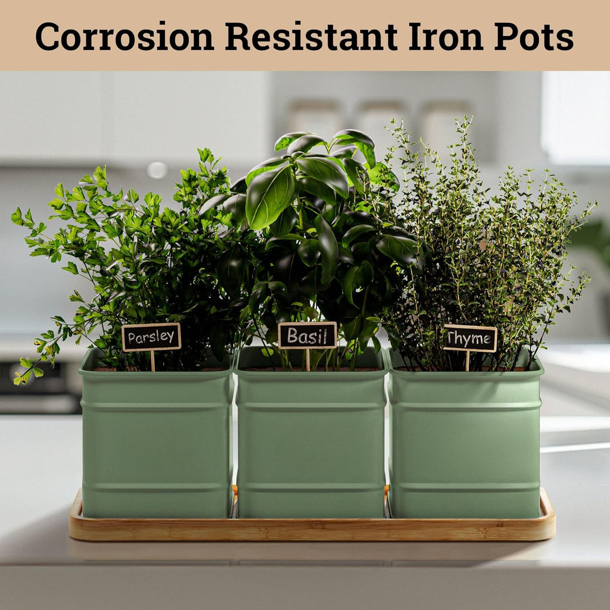 Herb Planter Indoor - 3 Iron Herb Pots with Drainage Holes, Varnished Bamboo Tray, Customizable