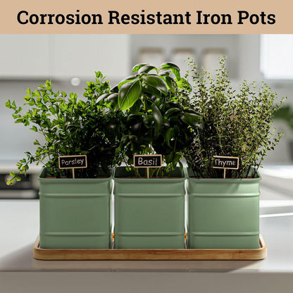 Herb Planter Indoor - 3 Iron Herb Pots with Drainage Holes, Varnished Bamboo Tray, Customizable