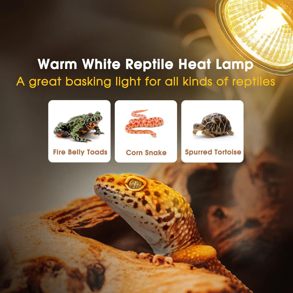 Briignite Reptile Heat Bulb 2 Pack, 50W UVA UVB Reptile Light Bulbs, Dimmable Heat Lamp Bulbs