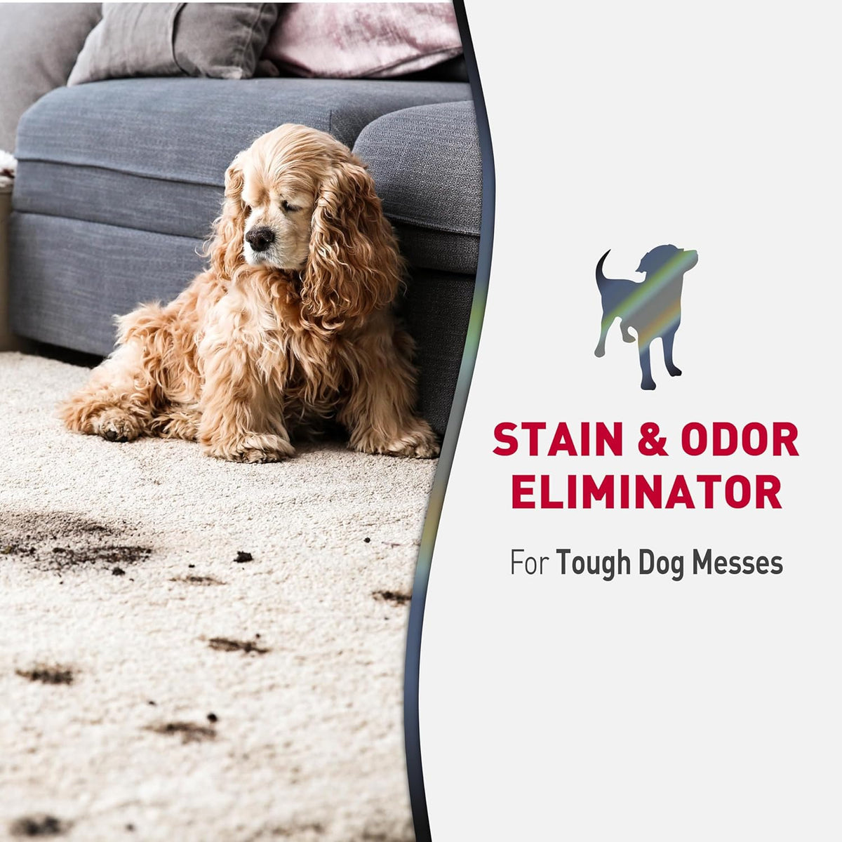 Nature's Miracle Advanced Dog Stain and Odor Eliminator Foam, Severe Mess Enzymatic Formula, 17.5