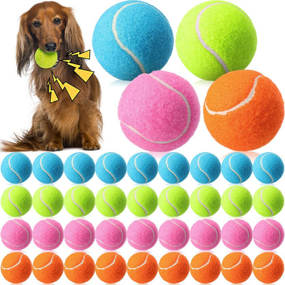 Skylety 40 Pcs 2.5 inch Squeaky Tennis Balls Bulk for Dogs Bouncy Floatable Tennis Balls Dog