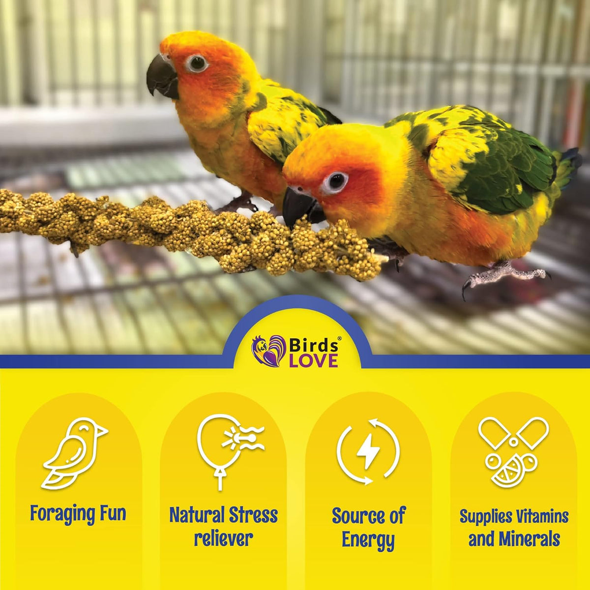 Birds LOVE Economy & Thin Special Spray Millet GMO-Free (No Stems Only Edible Tops) for Birds