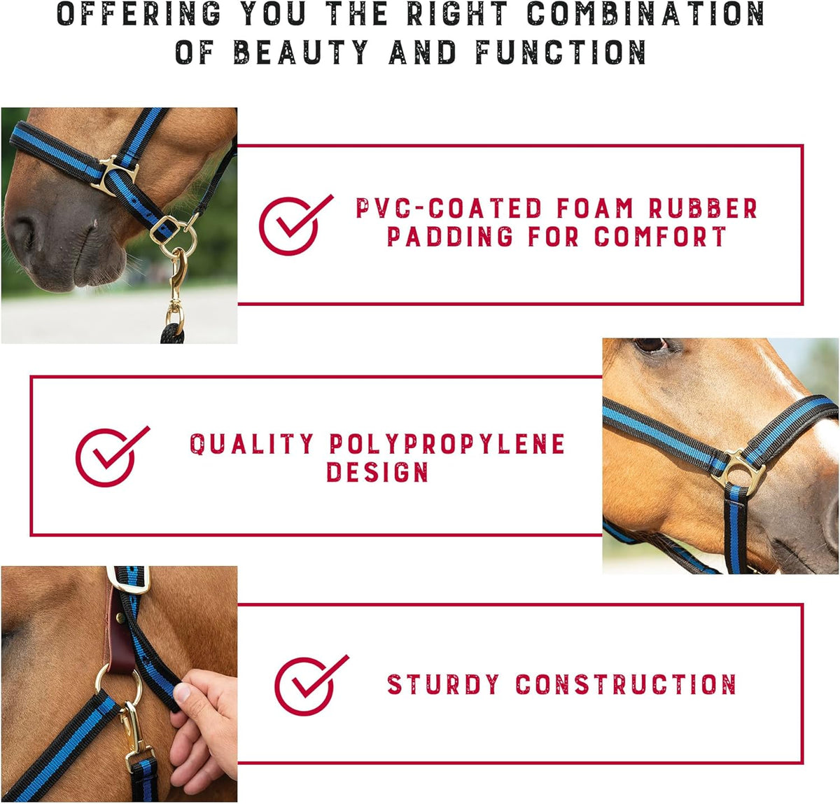 Weaver Equine Breakaway Horse Halter, Comfort Foam Padding, Adjustable Chin & Throat Snap Halters