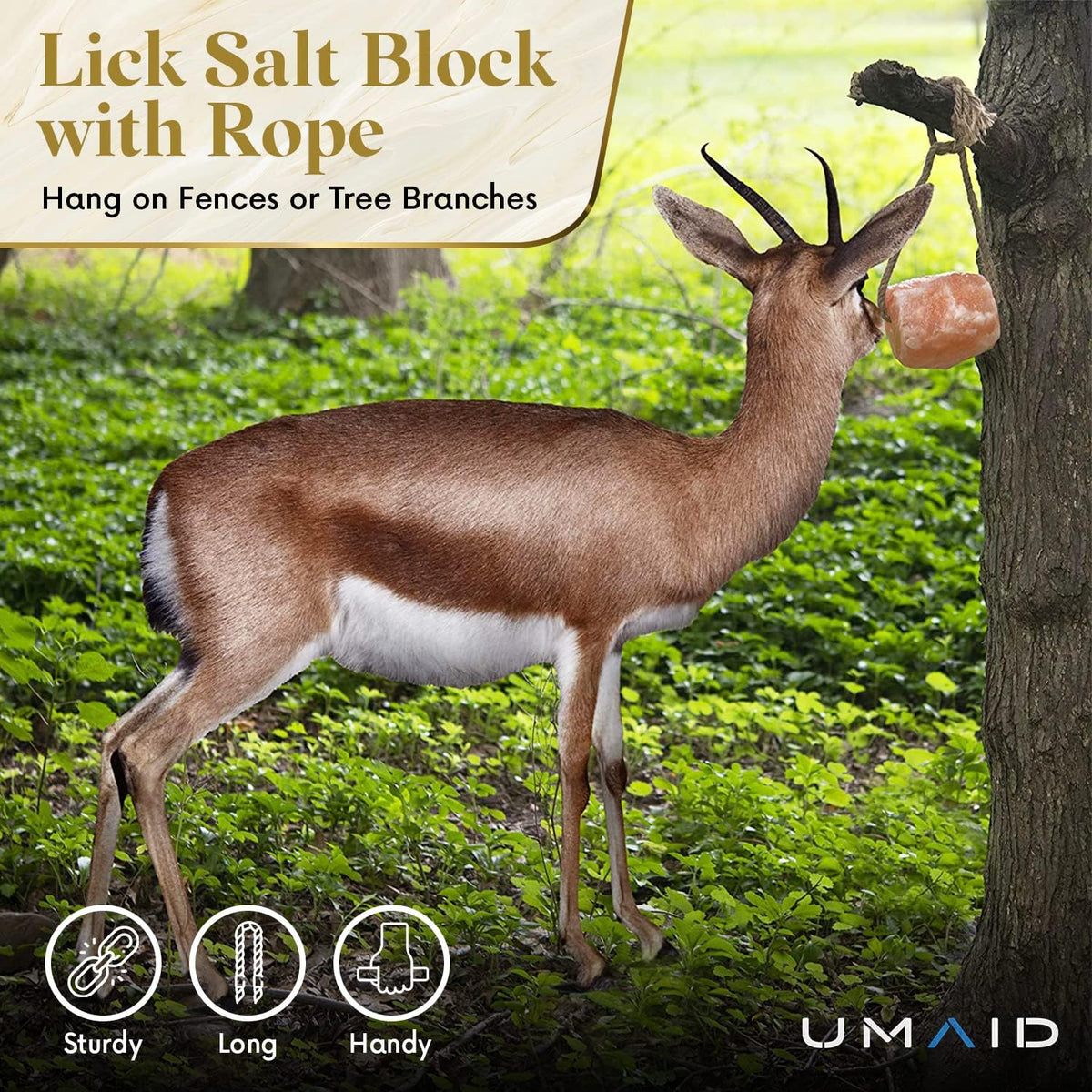 UMAID Himalayan Salt Lick 6 lbs. on Rope for Horses, Deer, Goats, Cow, Sheep, Cattle, Alpacas, and