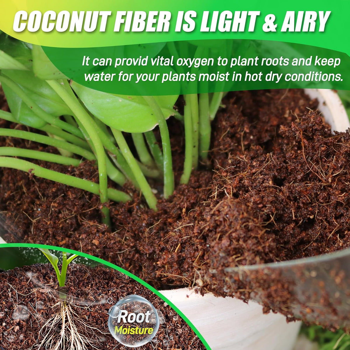Coco Coir Brick for Plants-6 Pack Premium Coconut Bricks, 100% Organic Peat Moss, Fiber Coconut
