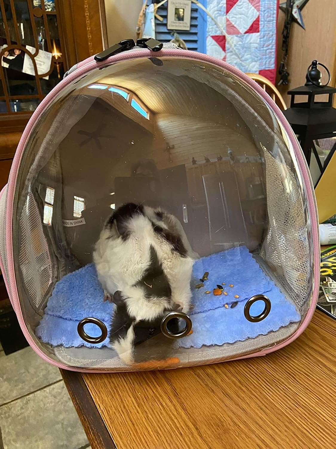 Hamster Backpack Carrier, Bearded Dragon Carrier Backpack with Clear Bubble Window,Small Animal