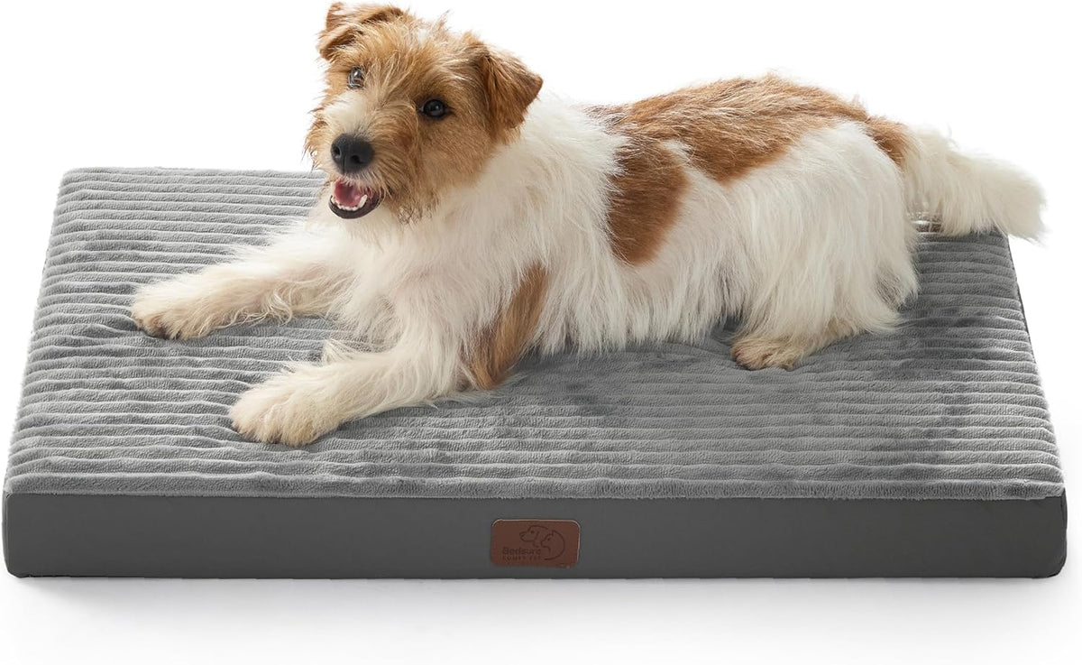 Bedsure Dog Bed Medium Size Dog - Orthopedic Pet Beds with Removable Machine Washable Cover, Egg