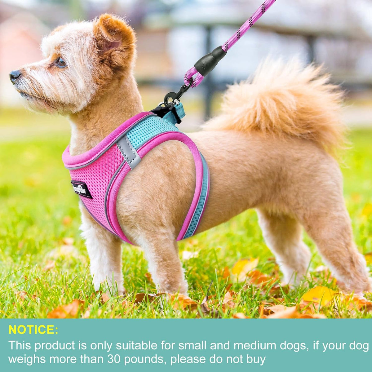 haapaw Dog Harness with Leash Set, No Pull Adjustable Reflective Step-in Puppy Harness with