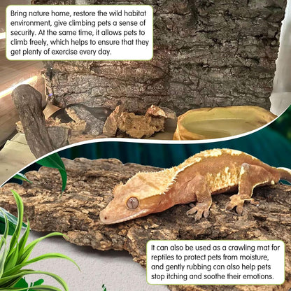 kathson 8Pcs Cork Tile Background Bark 11.8”Lx7.9”W Reptile Tank Background Terrarium Backdrop Wall