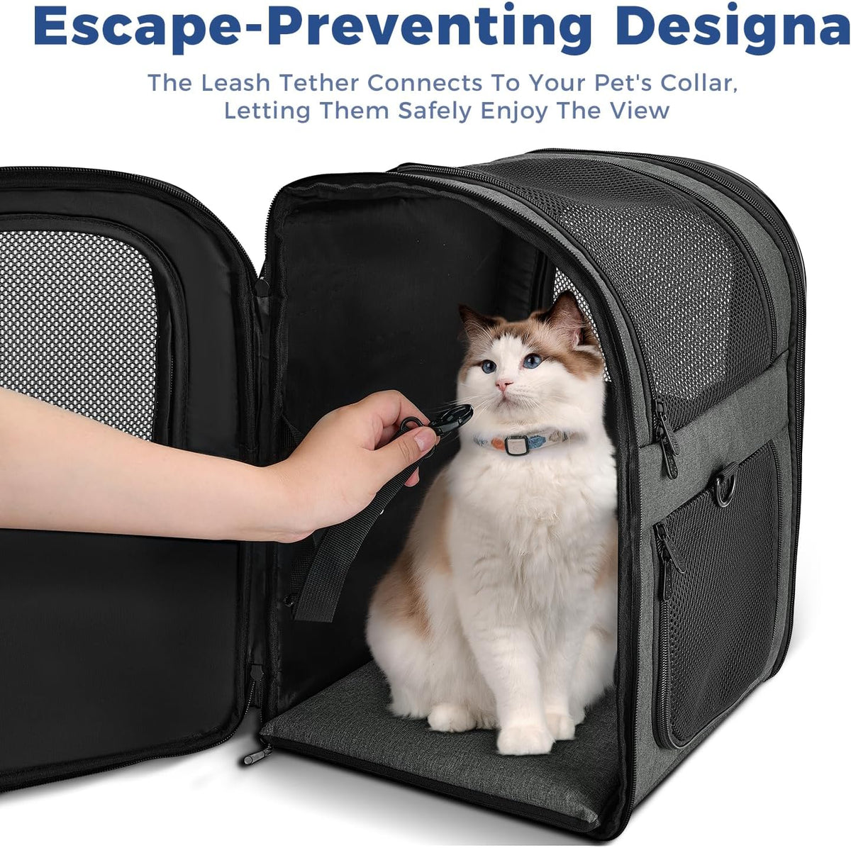 Apollo Walker Pet Carrier Backpack for 4-15lb Cats and Dogs, Puppies, Safety Features and Cushion