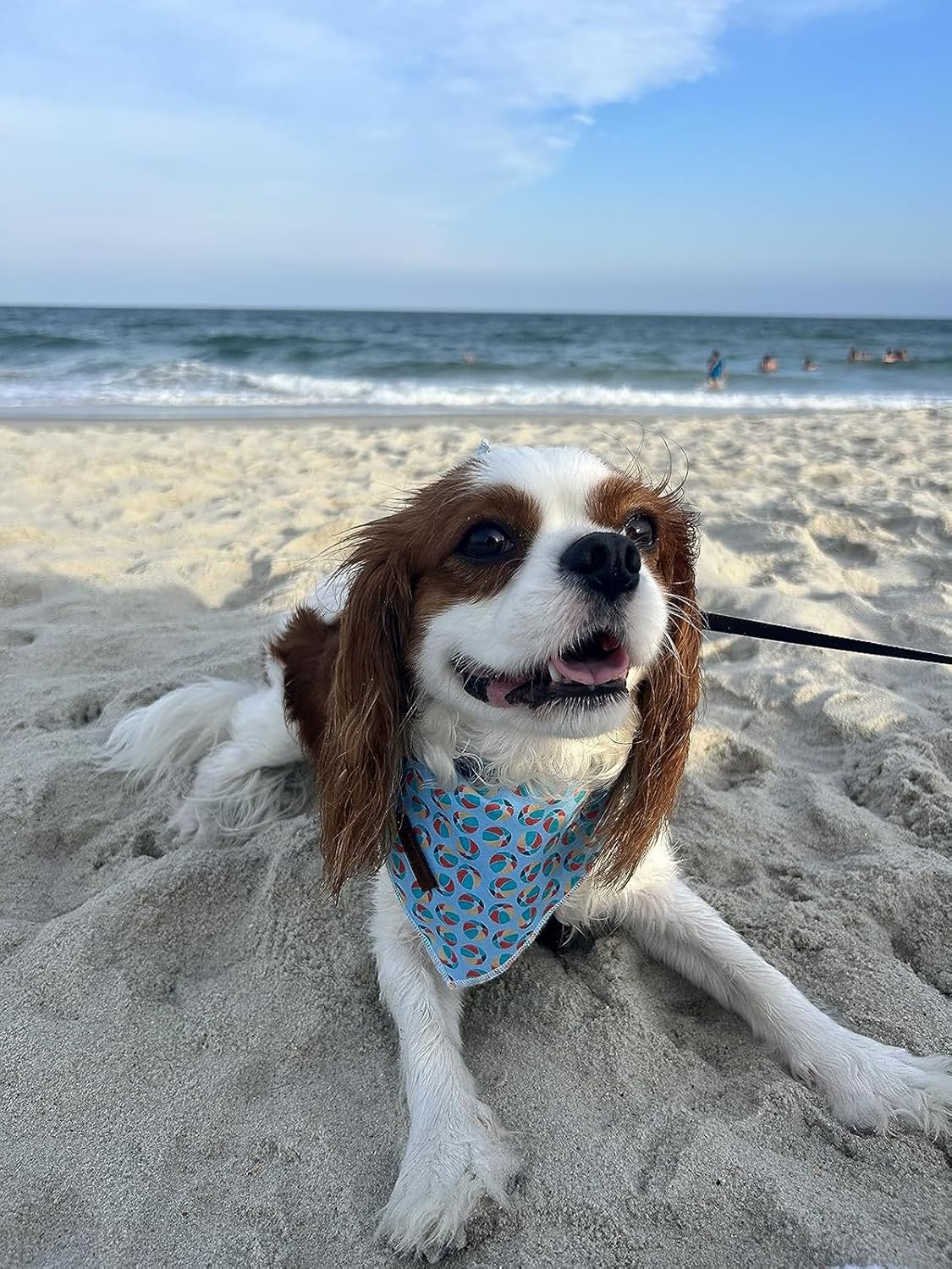 Lionet Paws Dog Bandana,Fabric Summer Dogs Kerchief for Medium Large Dogs,Dog Cotton Triangle Bibs