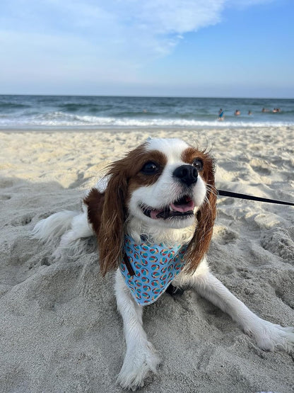 Lionet Paws Dog Bandana,Fabric Summer Dogs Kerchief for Medium Large Dogs,Dog Cotton Triangle Bibs