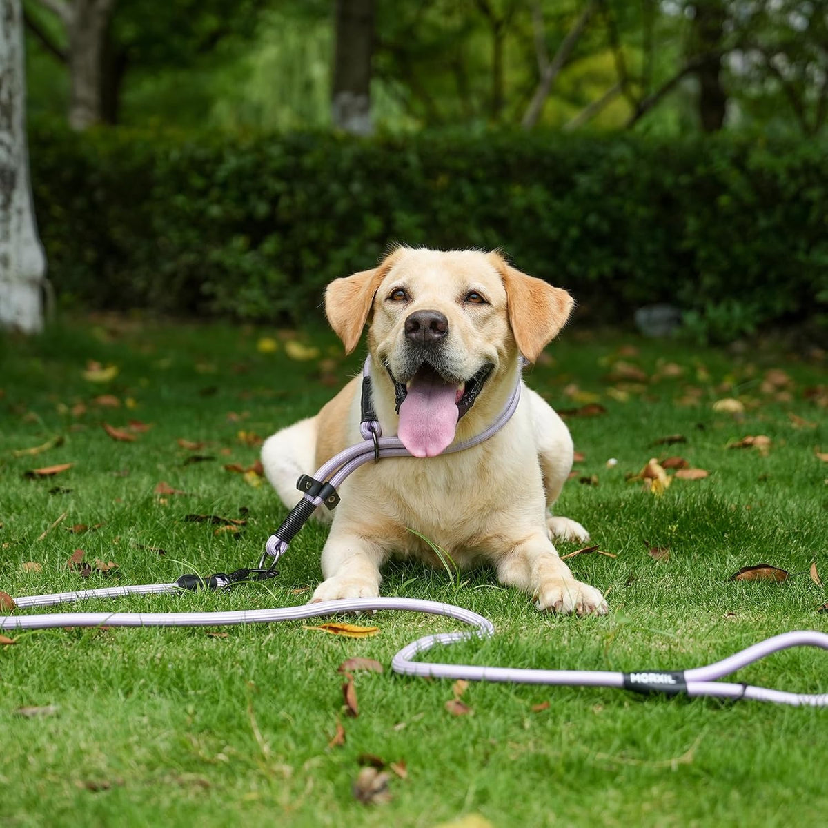 Rope Dog Leash, 6 Foot Heavy Duty Dog Leash with Aviation Aluminum Auto Locking Carabiner, Strong