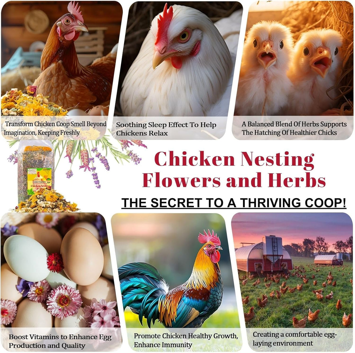 21 oz Chicken Nesting Herbs Flowers - 1.3lb Poultry Blend Herbs 12 Premium Nesting Box Herbs for