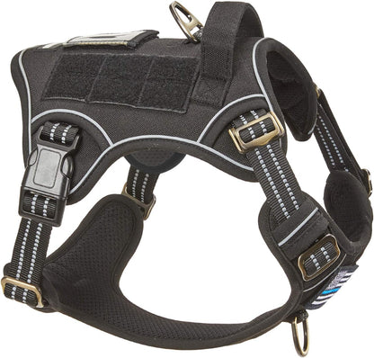 BUMBIN Tactical Dog Harness for Small Dogs No Pull, Famous TIK Tok No Pull Puppy Harness, Fit Smart