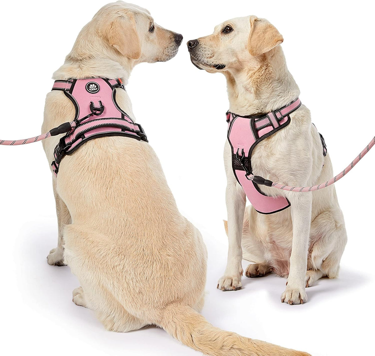 NESTROAD No Pull Dog Harness,Adjustable Oxford Dog Vest Harness with Leash,Reflective No-Choke Pet