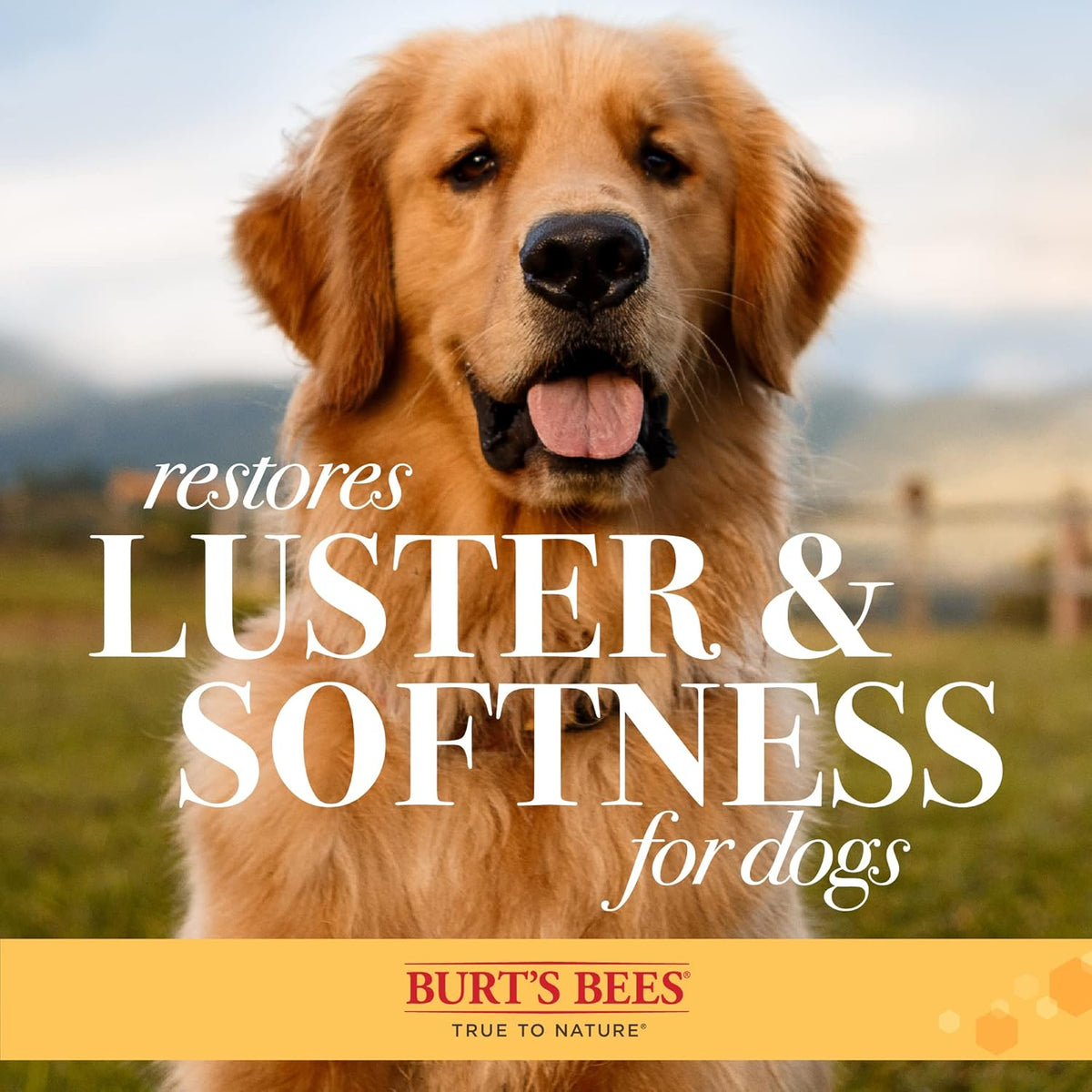 Burt's Bees for Pets Palm Brush with Hemp Bristles | Best Ergonomic Dog Brush To Groom Large Dogs |