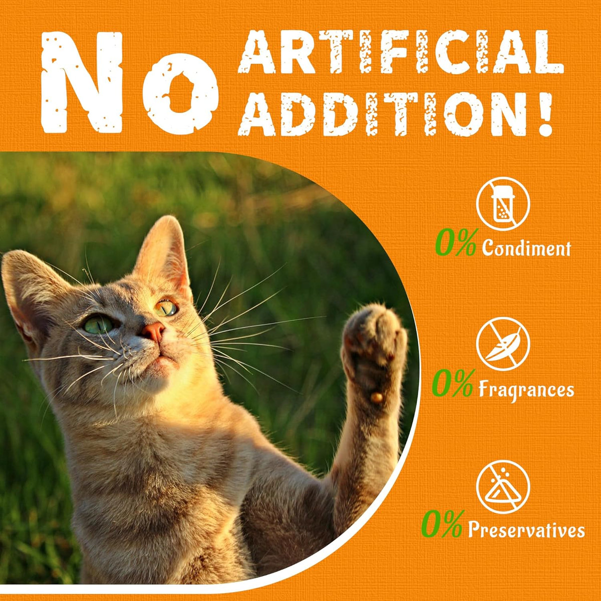 Just Try 13.4 OZ Pumpkin Cat Treats Cat Constipation Relief Hairball Control Healthy Salmon Snacks