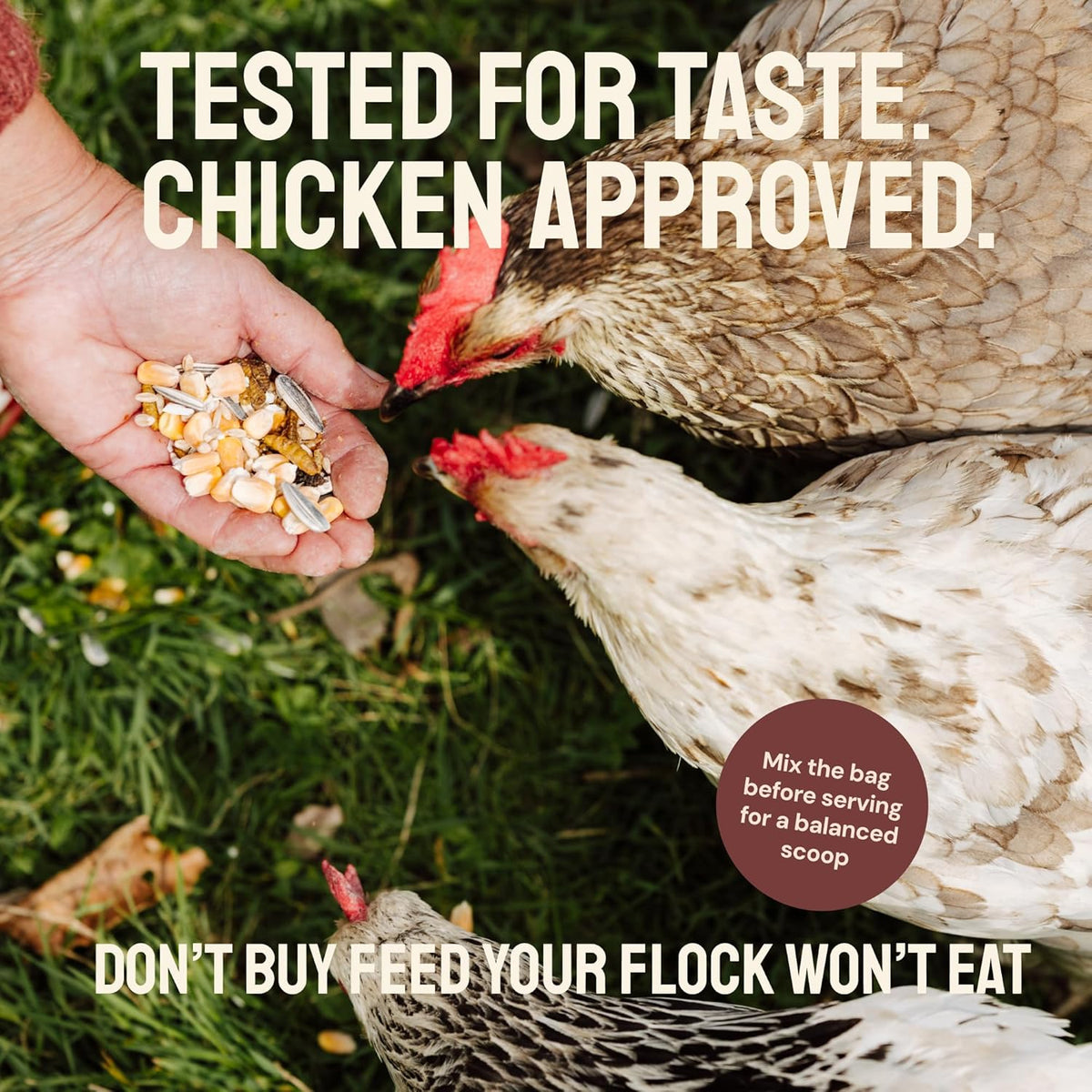 PTCOM Hatortempt 5lb Organic Chicken Feed for Laying Hens - 3 Grain Essential Blend - 5% Calcium