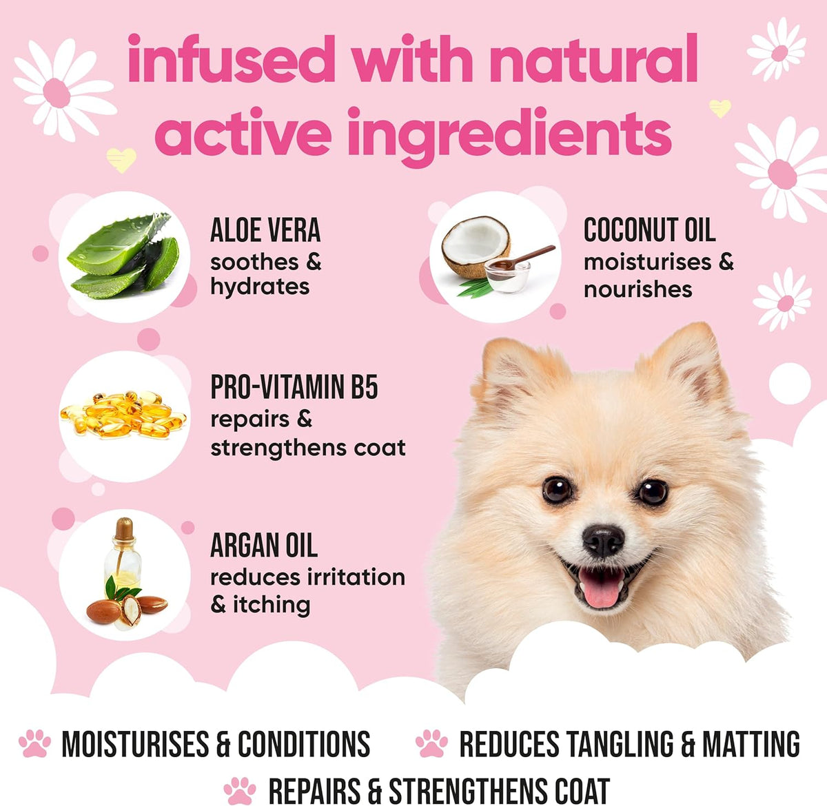 Baby Fresh Dog Conditioner (169.07oz) Made with Aloe Vera, Argan Oil & Pro Vitamin B5 to Detangle