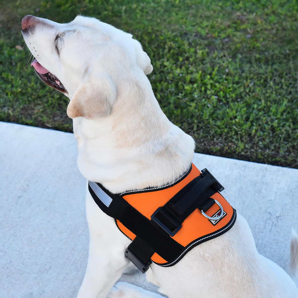 Dogline Dog Harness, Reflective No-Pull Adjustable Vest with Handle for Walking, Training