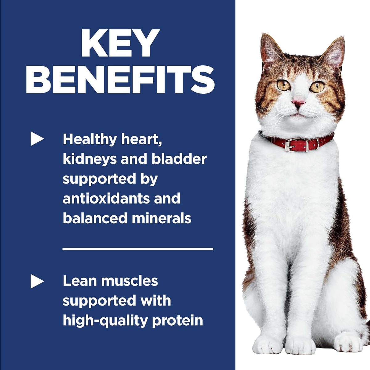 Hill's Science Diet Adult 7+, Senior Adult 7+ Premium Nutrition, Dry Cat Food, Chicken Recipe, 7 lb