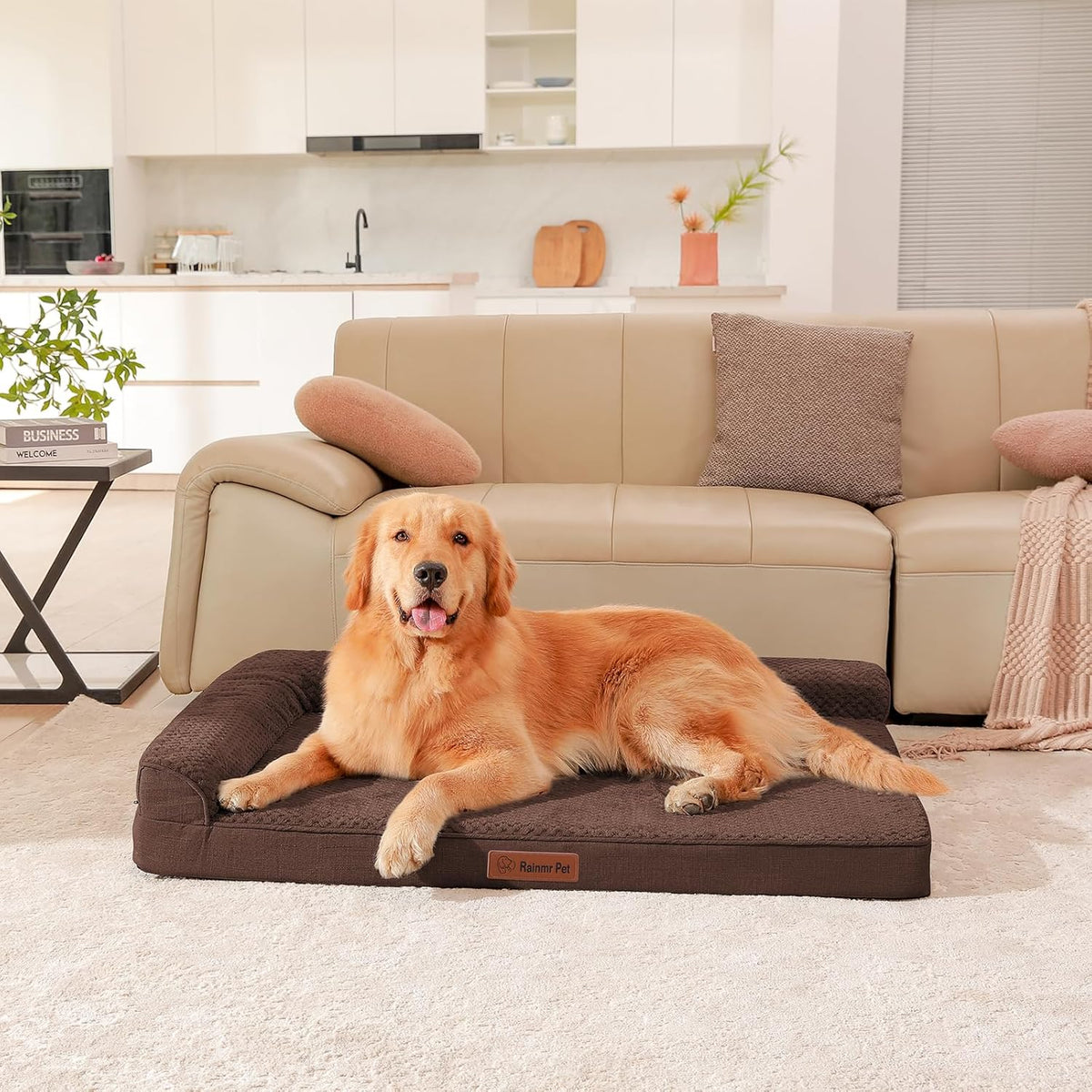 Orthopedic Dog Bed, 3 Inch Memory Foam Dog Beds for Large Dogs, Washable Removable Cover, Nonskid